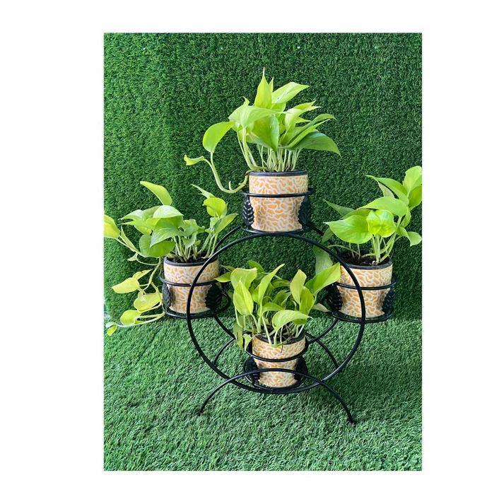 4 Pot Planter Stand - Image 6